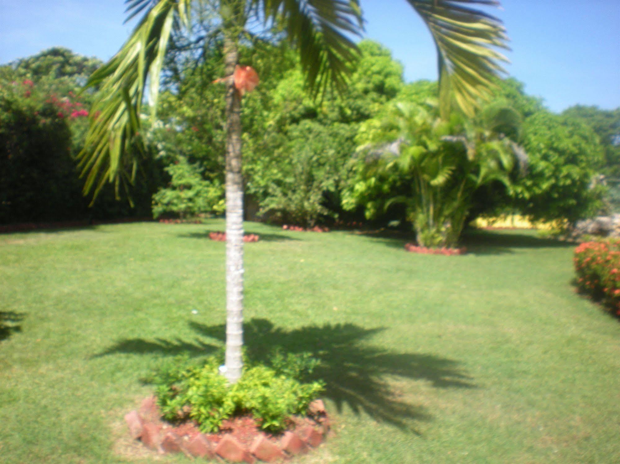 Villa Sonate Runaway Bay Exterior foto